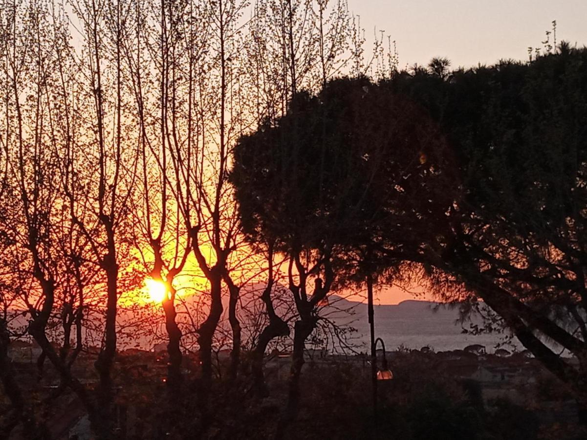 Il Platano Bed and Breakfast Piano di Sorrento Exteriör bild