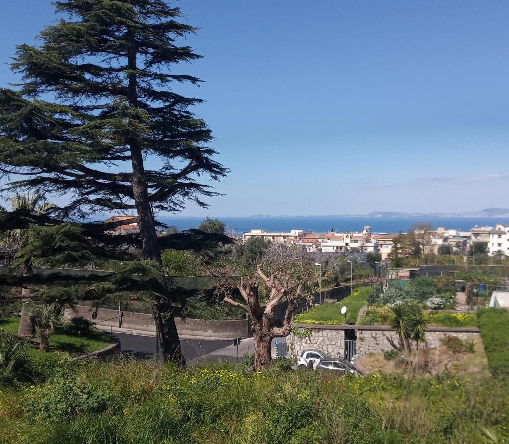 Il Platano Bed and Breakfast Piano di Sorrento Exteriör bild