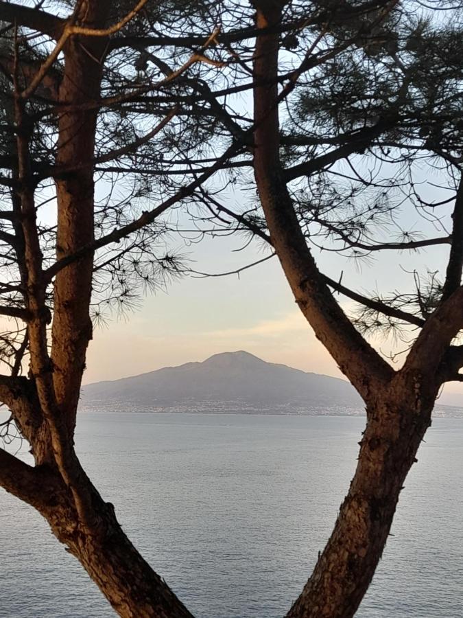 Il Platano Bed and Breakfast Piano di Sorrento Exteriör bild